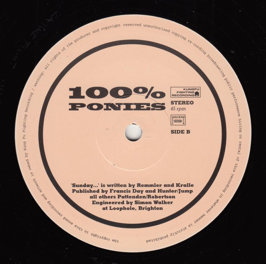 100ponies_bseite.jpg 100ponies_bseite.jpg